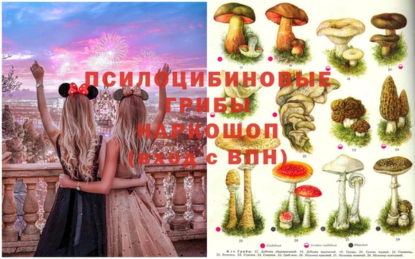 тгк Алексеевка