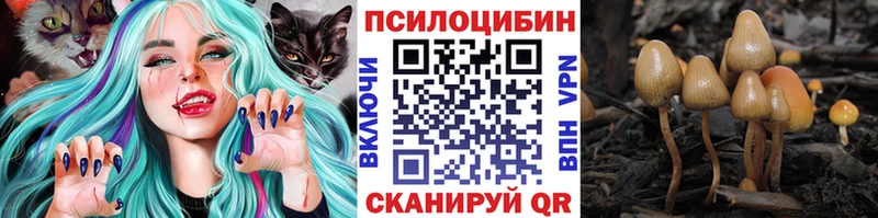 цены наркотик  Новоульяновск  Псилоцибиновые грибы Magic Shrooms 
